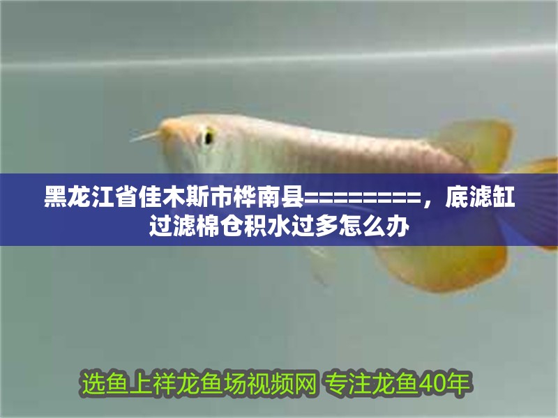 黑龍江省佳木斯市樺南縣========，底濾缸過濾棉倉積水過多怎么辦 黑龍江省佳木斯市樺南縣========，底濾缸過濾棉倉積水過多怎么辦 觀賞魚百科 第2張