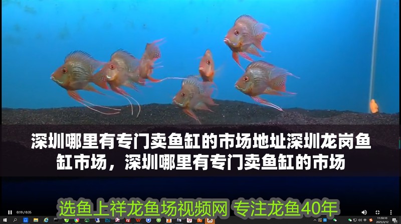 深圳哪里有專門賣魚缸的市場地址深圳龍崗魚缸市場，深圳哪里有專門賣魚缸的市場
