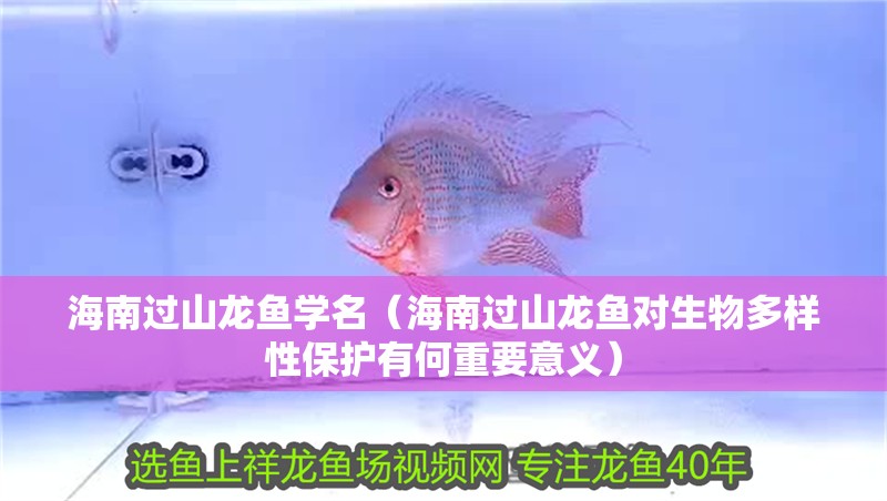 海南過山龍魚學名（海南過山龍魚對生物多樣性保護有何重要意義）