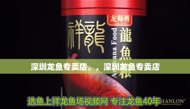 深圳龍魚專賣店，，深圳龍魚專賣店 深圳龍魚專賣店，，深圳龍魚專賣店 觀賞魚百科 第2張