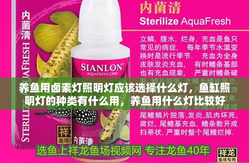 養魚用鹵素燈照明燈應該選擇什么燈，魚缸照明燈的種類有什么用，養魚用什么燈比較好