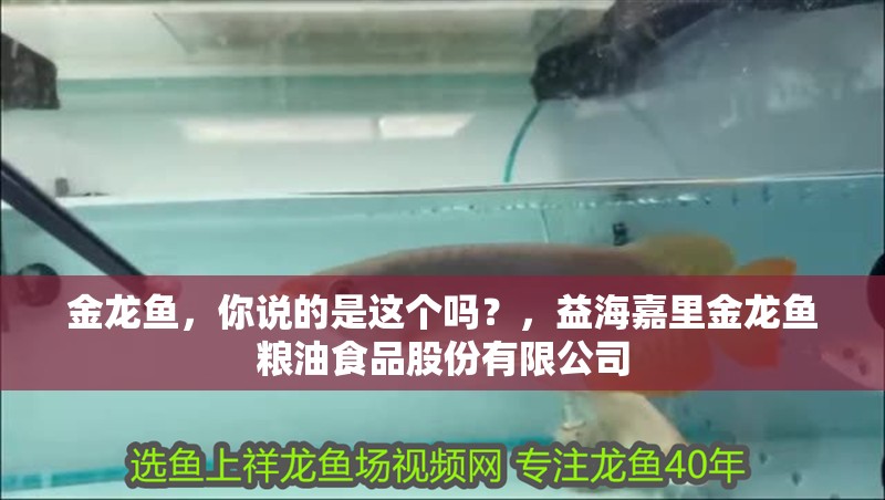 金龍魚，你說的是這個嗎？，益海嘉里金龍魚糧油食品股份有限公司