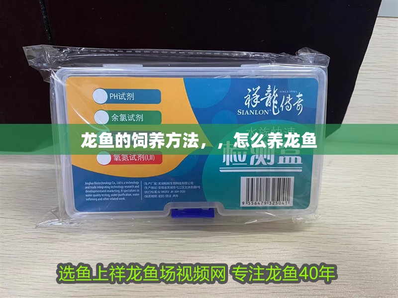 龍魚的飼養方法，，怎么養龍魚