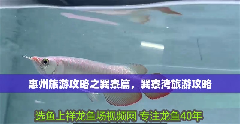 惠州旅游攻略之巽寮篇，巽寮灣旅游攻略