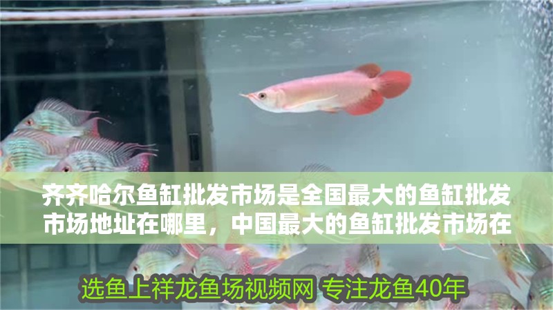 齊齊哈爾魚缸批發市場是全國最大的魚缸批發市場地址在哪里，中國最大的魚缸批發市場在哪里？