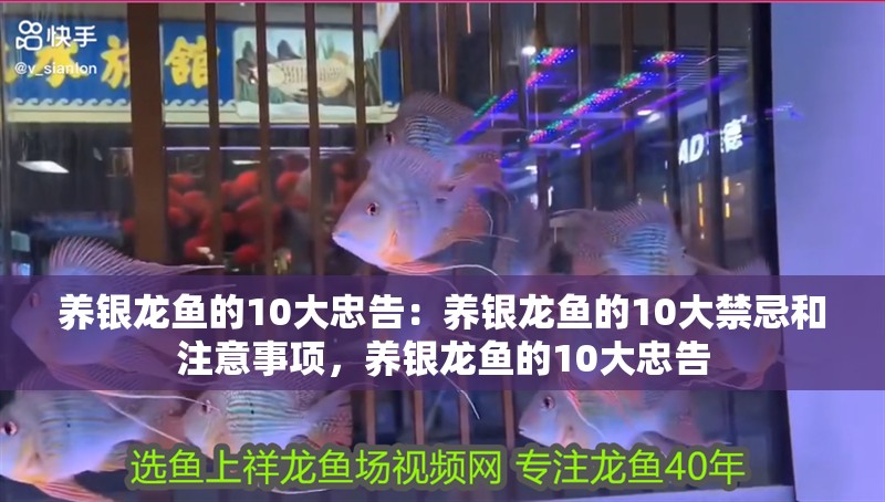 養銀龍魚的10大忠告：養銀龍魚的10大禁忌和注意事項，養銀龍魚的10大忠告