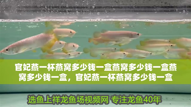 官妃燕一杯燕窩多少錢一盒燕窩多少錢一盒燕窩多少錢一盒，官妃燕一杯燕窩多少錢一盒