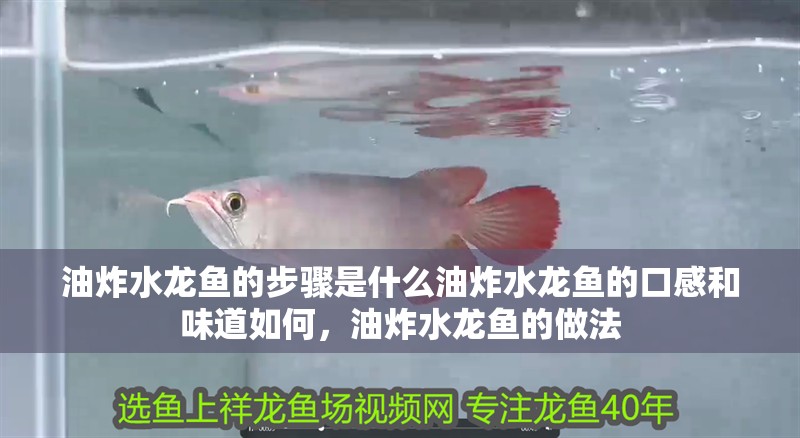 油炸水龍魚的步驟是什么油炸水龍魚的口感和味道如何，油炸水龍魚的做法