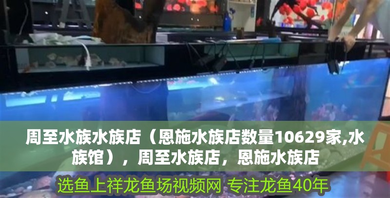 <strong><mark>周至</mark></strong>水族水族店（恩施水族店數量10629家,水族館），<strong><mark>周至</mark></strong>水族店，恩施水族店