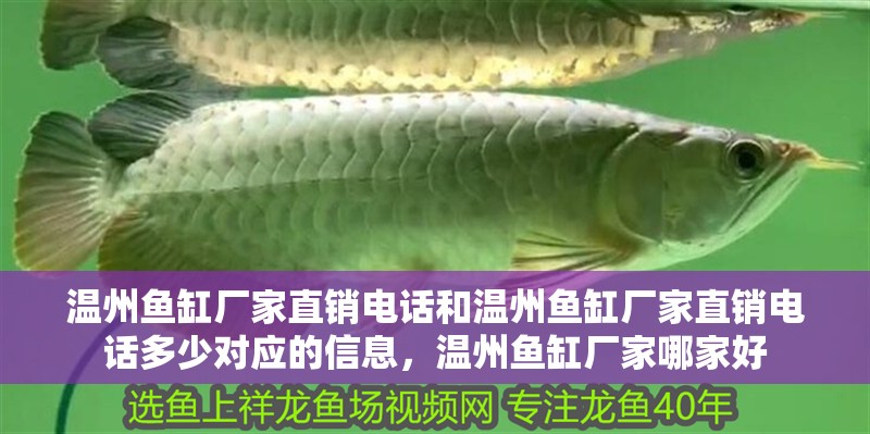 溫州魚缸廠家直銷電話和溫州魚缸廠家直銷電話多少對應的信息，溫州魚缸廠家哪家好