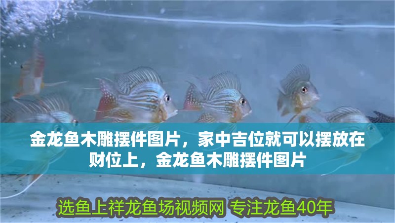 金龍魚木雕擺件圖片，家中吉位就可以擺放在財位上，金龍魚木雕擺件圖片