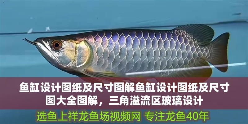 魚缸設計圖紙及尺寸圖解魚缸設計圖紙及尺寸圖大全圖解，三角溢流區玻璃設計