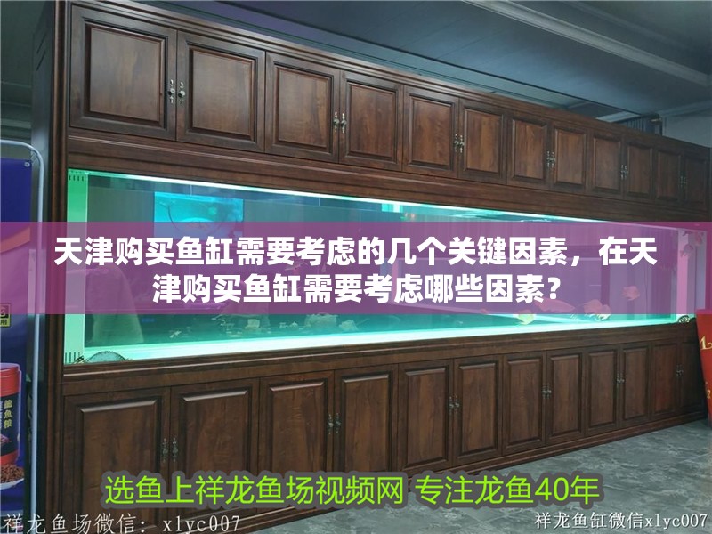 天津購買魚缸需要考慮的幾個關鍵因素，在天津購買魚缸需要考慮哪些因素？