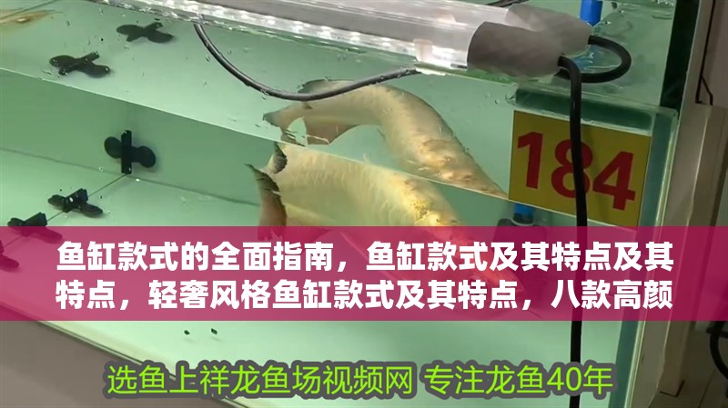 魚缸款式的全面指南，魚缸款式及其特點及其特點，輕奢風格魚缸款式及其特點，八款高顏值斗魚缸推薦