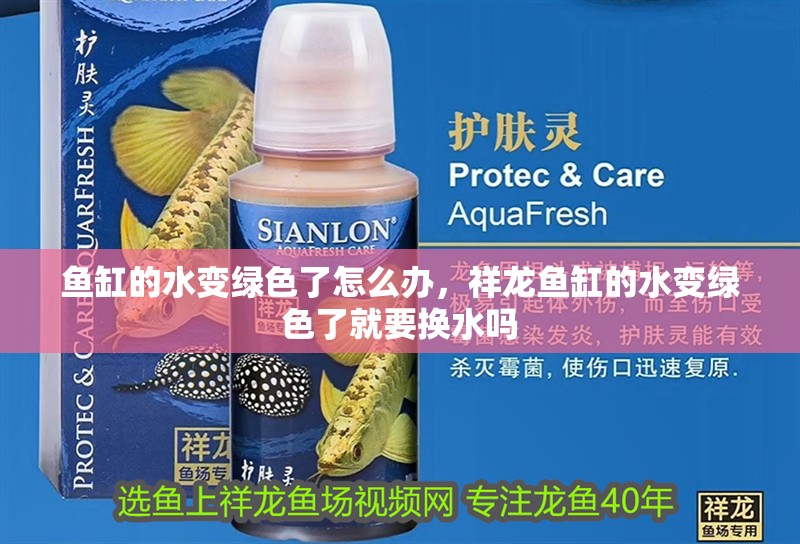 魚缸的水變綠色了怎么辦，祥龍魚缸的水變綠色了就要換水嗎