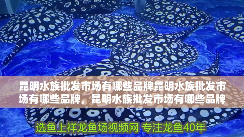 昆<strong><mark>明水</mark></strong>族批發(fā)市場(chǎng)有哪些品牌昆<strong><mark>明水</mark></strong>族批發(fā)市場(chǎng)有哪些品牌，昆<strong><mark>明水</mark></strong>族批發(fā)市場(chǎng)有哪些品牌
