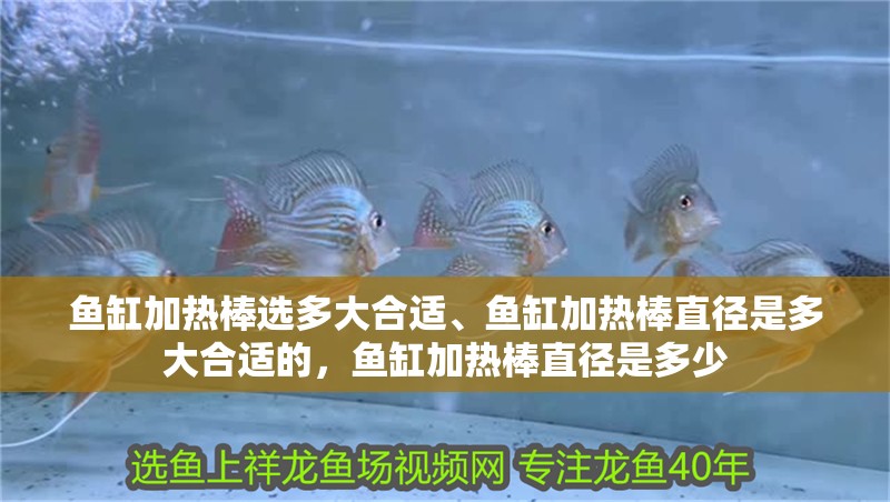 魚缸加熱棒選多大合適、魚缸加熱棒直徑是多大合適的，魚缸加熱棒直徑是多少