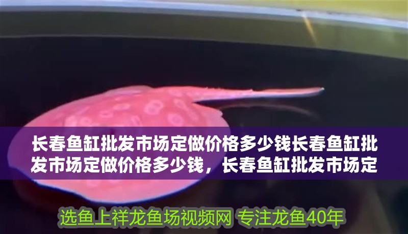 長春魚缸批發市場定做價格多少錢長春魚缸批發市場定做價格多少錢，長春魚缸批發市場定做價格多少錢