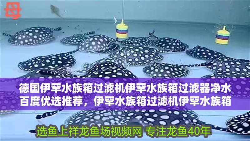 德國伊罕水族箱過濾機伊罕水族箱過濾器凈水百度優(yōu)選推薦，伊罕水族箱過濾機伊罕水族箱過濾器凈水百度優(yōu)選推薦