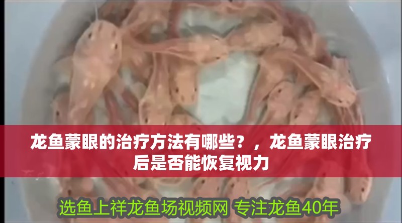 龍魚蒙眼的治療方法有哪些？，龍魚蒙眼治療后是否能恢復視力