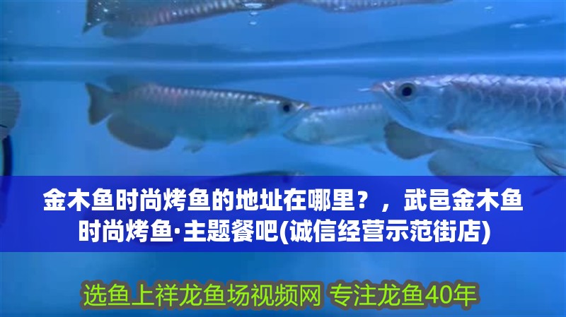 金木魚時尚烤魚的地址在哪里？，武邑金木魚時尚烤魚·主題餐吧(誠信經營示范街店)