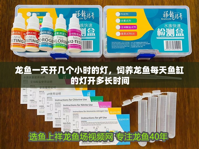 龍魚一天開幾個小時的燈，飼養龍魚每天魚缸的燈開多長時間