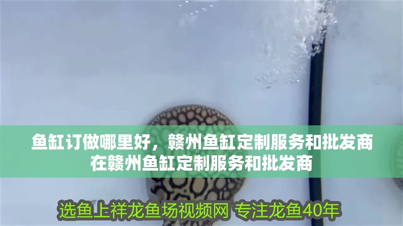 魚缸訂做哪里好，贛州魚缸定制服務和批發商在贛州魚缸定制服務和批發商