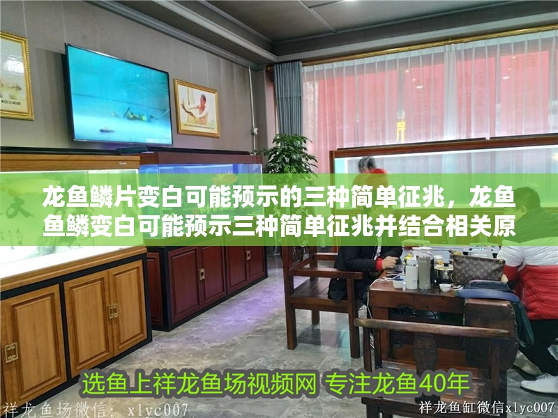 龍魚鱗片變白可能預示的三種簡單征兆，龍魚魚鱗變白可能預示三種簡單征兆并結合相關原因和注意事項