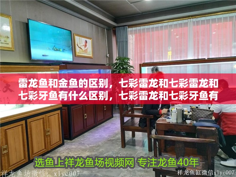 雷龍魚和金魚的區別，七彩雷龍和七彩雷龍和七彩牙魚有什么區別，七彩雷龍和七彩牙魚有什么區別
