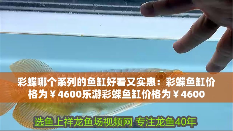 彩蝶哪個系列的魚缸好看又實惠：彩蝶魚缸價格為￥4600樂游彩蝶魚缸價格為￥4600
