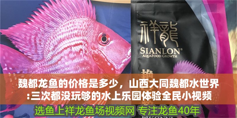 魏都龍魚的價格是多少，山西大同魏都水世界:三次都沒玩夠的水上樂園體驗全民小視頻
