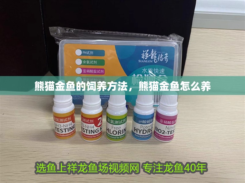 熊貓金魚的飼養方法，熊貓金魚怎么養