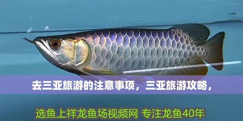 魚缸用增氧泵價格是多少:魚缸增氧機-xtrac增氧機-xtrac增氧機 去三亞旅游的注意事項,三亞旅游攻略, 觀賞魚百科 去三亞旅游的注意事項,三亞旅游攻略, 去三亞旅游的注意事項,三亞旅游攻略, 觀賞魚百科