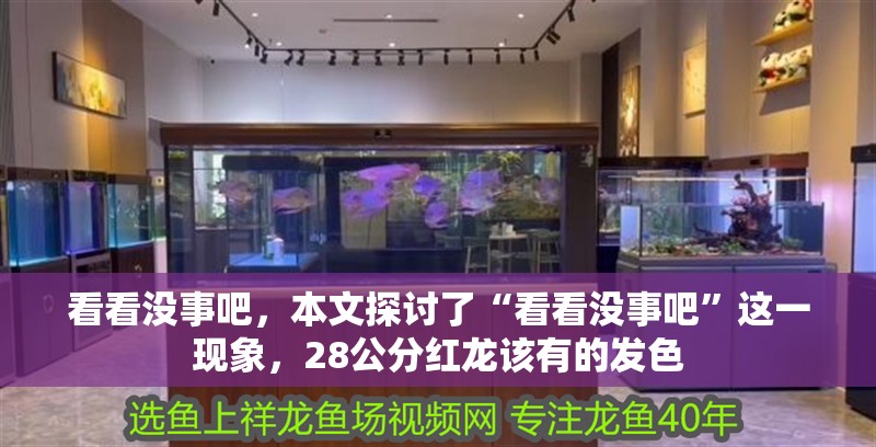 看看沒事吧，本文探討了“看看沒事吧”這一現象，28公分紅龍該有的發色