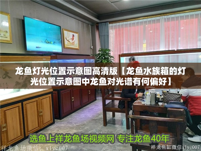 龍魚燈光位置示意圖高清版【龍魚水族箱的燈光位置示意圖中龍魚對(duì)光譜有何偏好】