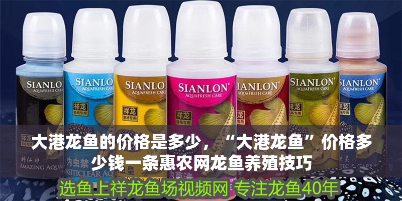 大港龍魚的價格是多少，“大港龍魚”價格多少錢一條惠農(nóng)網(wǎng)龍魚養(yǎng)殖技巧