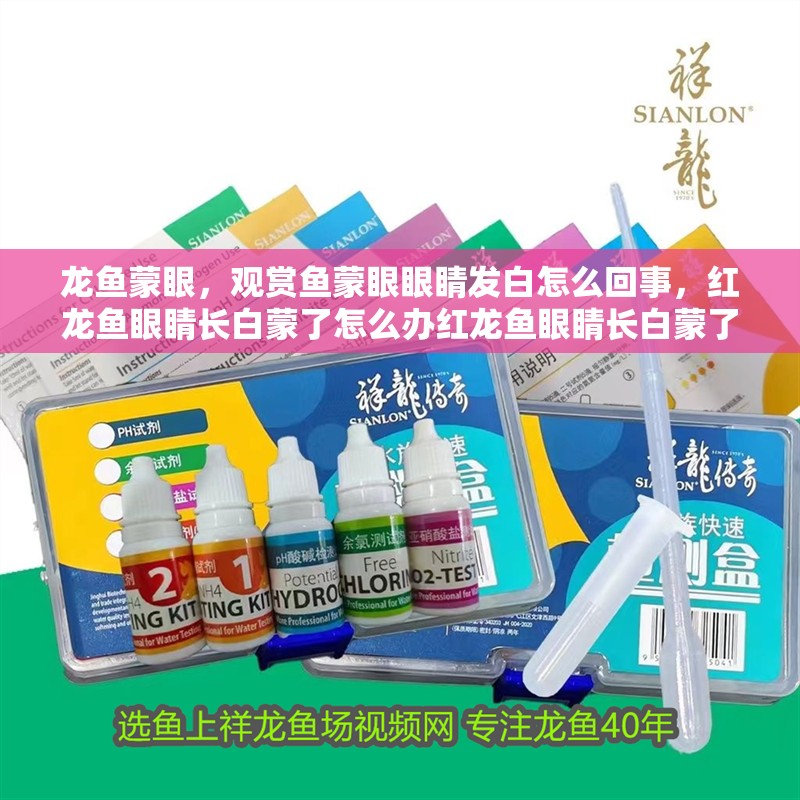 龍魚蒙眼，觀賞魚蒙眼眼睛發(fā)白怎么回事，紅龍魚眼睛長白蒙了怎么辦紅龍魚眼睛長白蒙了怎么辦 龍魚蒙眼，觀賞魚蒙眼眼睛發(fā)白怎么回事，紅龍魚眼睛長白蒙了怎么辦紅龍魚眼睛長白蒙了怎么辦 觀賞魚百科 第5張