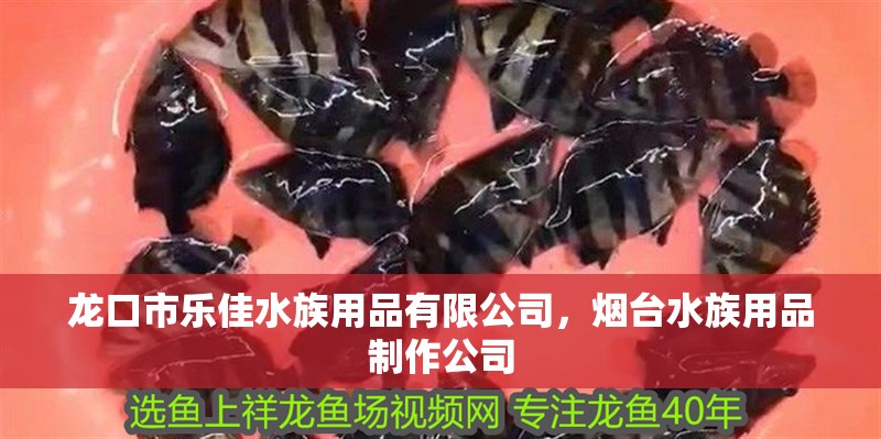 龍口市樂佳水族用品有限公司，煙臺水族用品制作公司