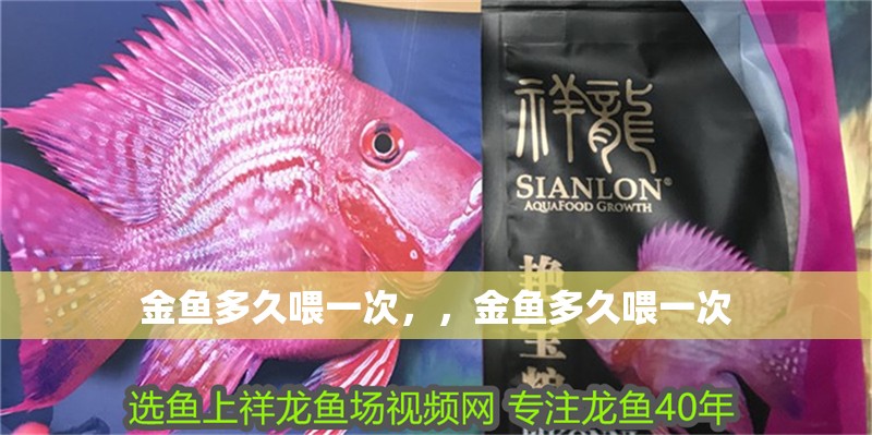 金魚多久喂一次，，金魚多久喂一次