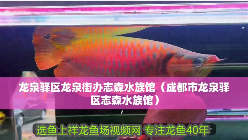 龍泉驛區龍泉街辦志森水族館（成都市龍泉驛區志森水族館）