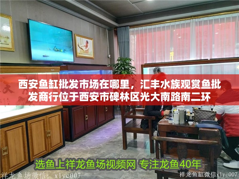 西安魚缸批發(fā)市場(chǎng)在哪里，匯豐水族觀賞魚批發(fā)商行位于西安市<strong><mark>碑林</mark></strong>區(qū)光大南路南二環(huán)