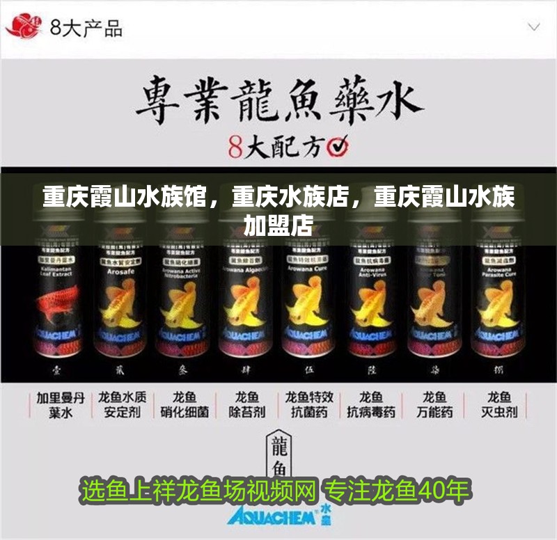 重慶<strong><mark>霞山</mark></strong>水族館，重慶水族店，重慶<strong><mark>霞山</mark></strong>水族加盟店