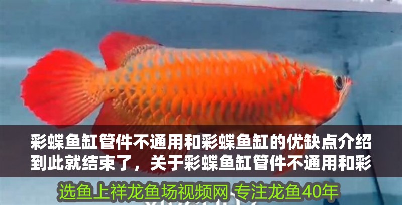 彩蝶魚缸管件不通用和彩蝶魚缸的優缺點介紹到此就結束了，關于彩蝶魚缸管件不通用和彩蝶魚缸的優缺點的介紹