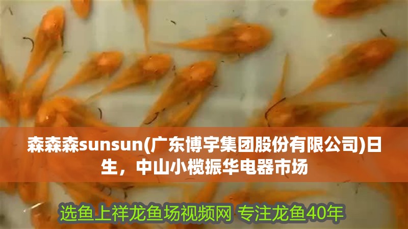 森森森sunsun(廣東博宇集團(tuán)股份有限公司)日生，中山小欖振華電器市場(chǎng) 森森森sunsun(廣東博宇集團(tuán)股份有限公司)日生，中山小欖振華電器市場(chǎng) 觀賞魚百科 第4張