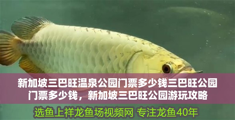 新加坡三巴旺溫泉公園門票多少錢三巴旺公園門票多少錢，新加坡三巴旺公園游玩攻略