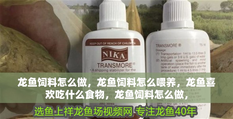 龍魚飼料怎么做，龍魚飼料怎么喂養，龍魚喜歡吃什么食物，龍魚飼料怎么做，