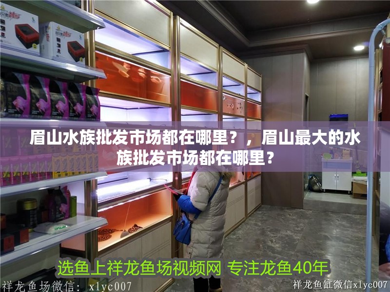 眉山水族批發市場都在哪里？，眉山最大的水族批發市場都在哪里？