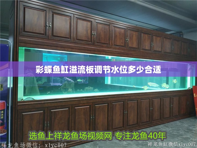彩蝶魚缸溢流板調節水位多少合適