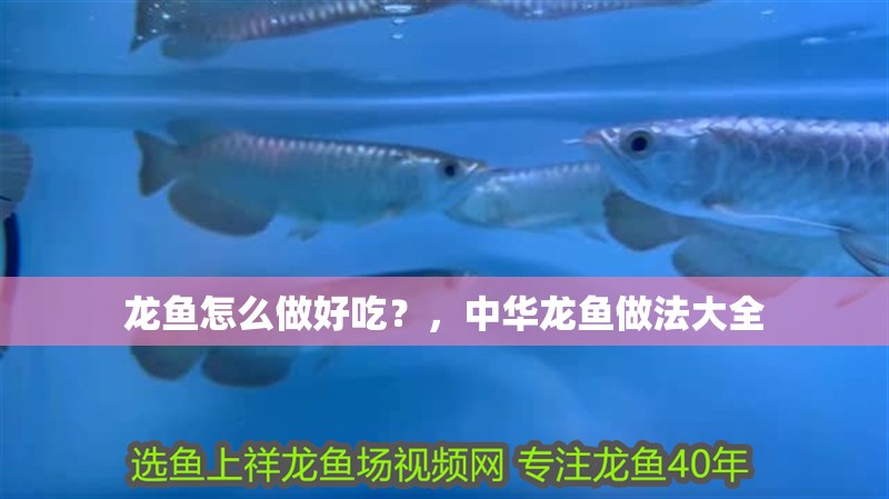 龍魚怎么做好吃？，中華龍魚做法大全