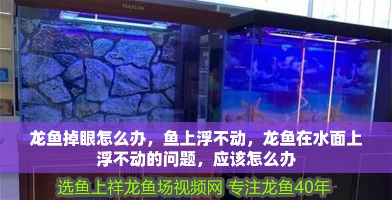 龍魚掉眼怎么辦，魚上浮不動，龍魚在水面上浮不動的問題，應該怎么辦